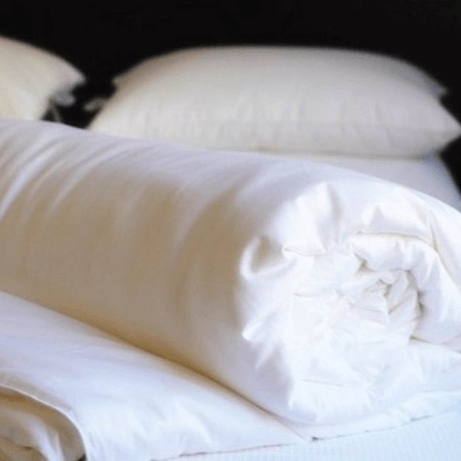 Couette en soie d'été avec couverture en coton