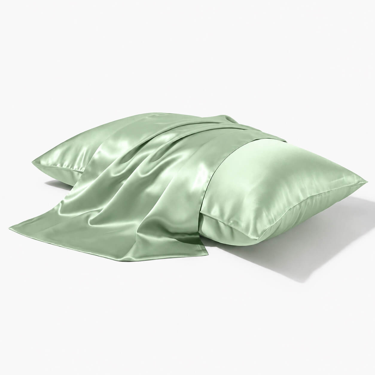 Funda de almohada de seda 22 momme - Sin volante - Cierre de cremallera