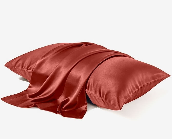 Funda de almohada de seda 22 momme - Sin volante - Cierre de cremallera
