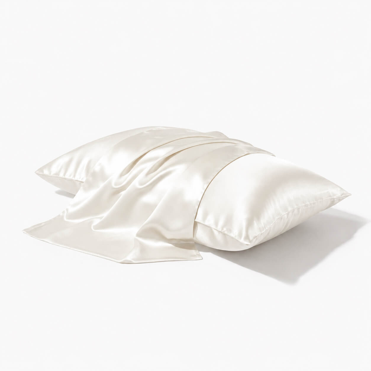 Funda de almohada de seda 22 momme - Sin volante - Cierre de cremallera