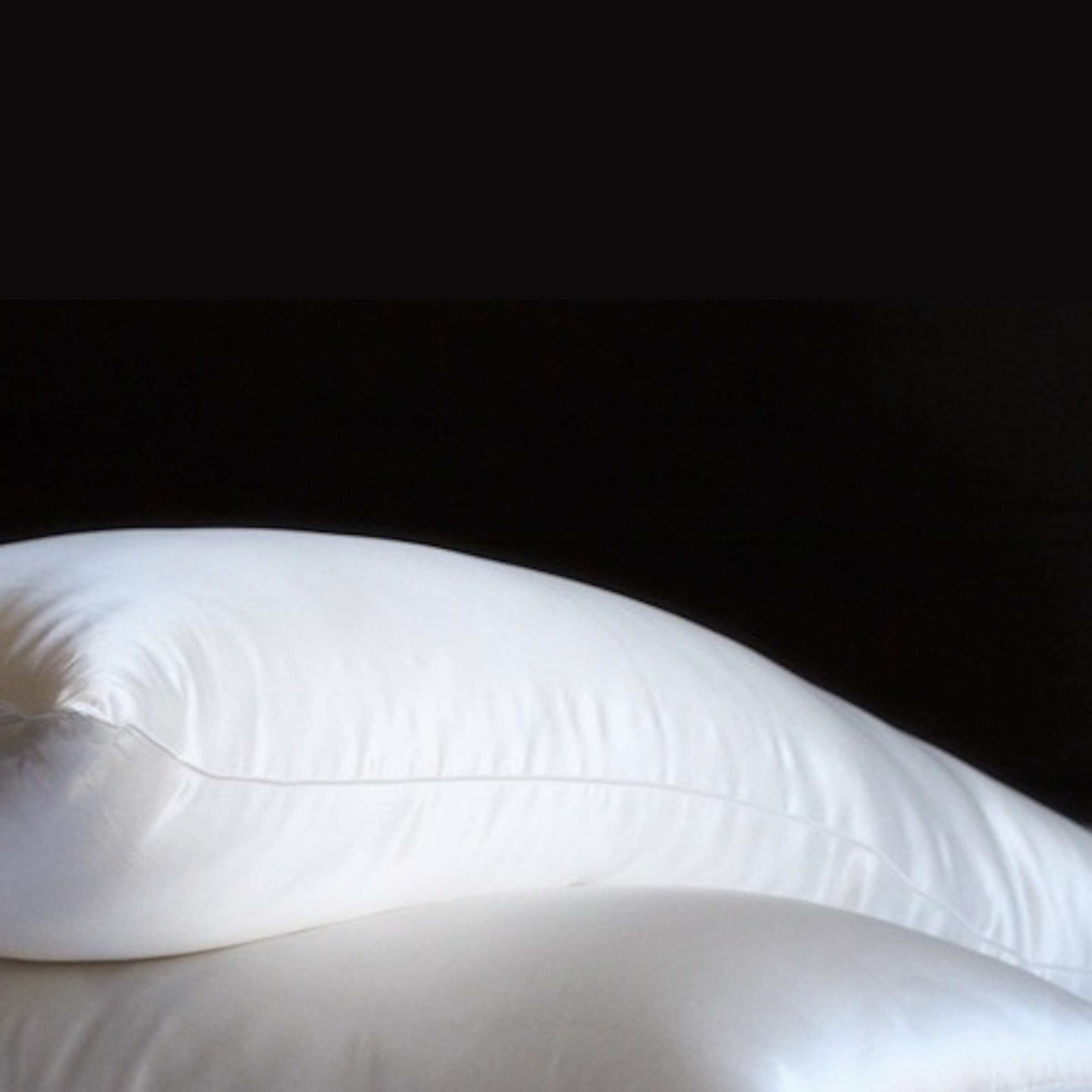 Almohada de seda con funda de seda